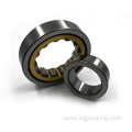 Long life treadmill cylindrical roller bearing for machine